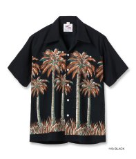 画像1: DUKE KAHANAMOKU (1)