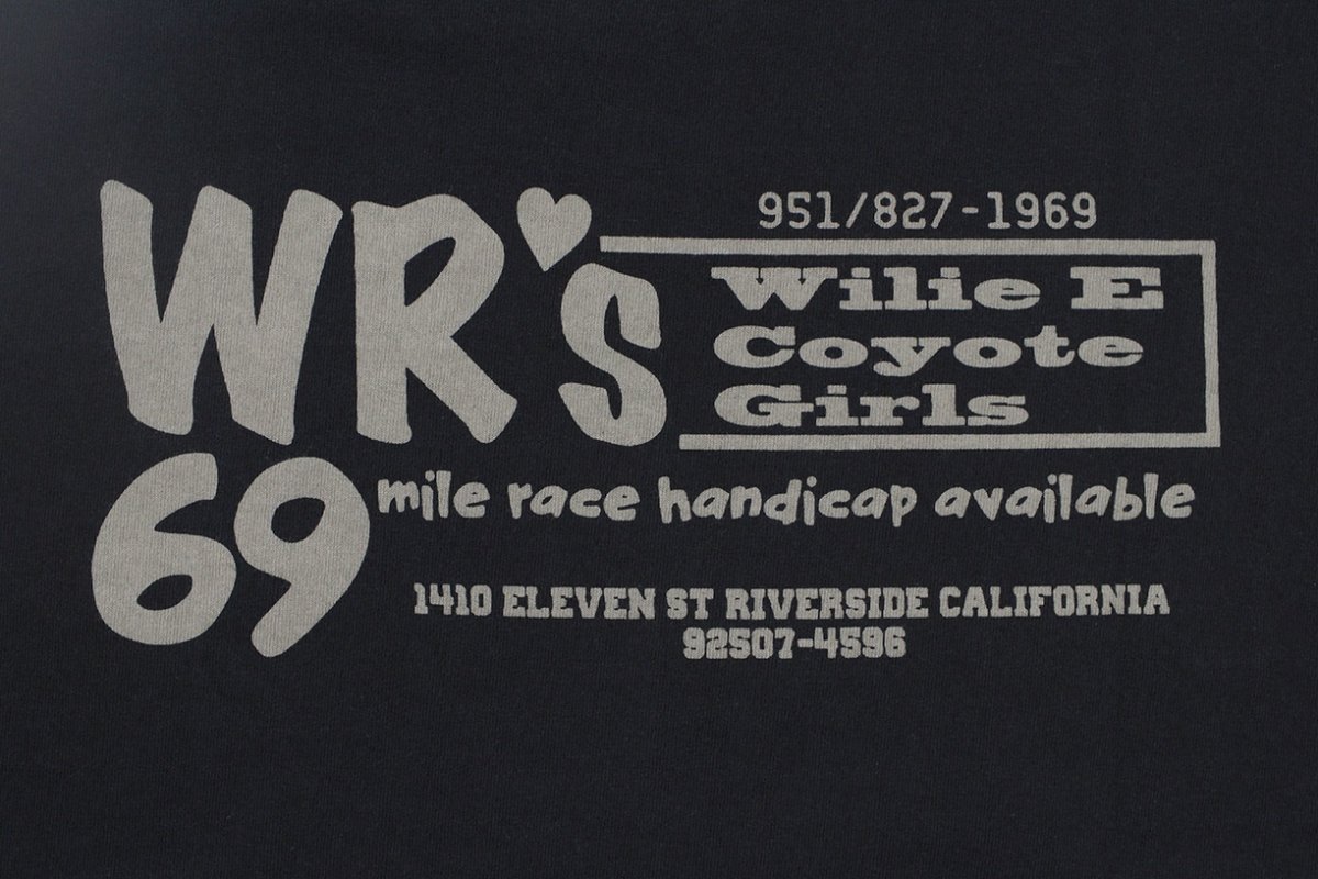 画像7: WESTRIDE (7)