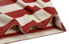 画像6: WESTRIDE (6)