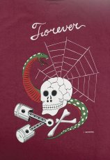 画像5: WESTRIDE (5)