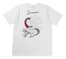 画像1: WESTRIDE (1)