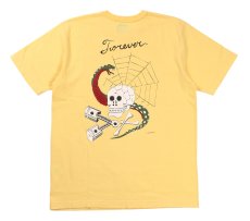 画像1: WESTRIDE (1)