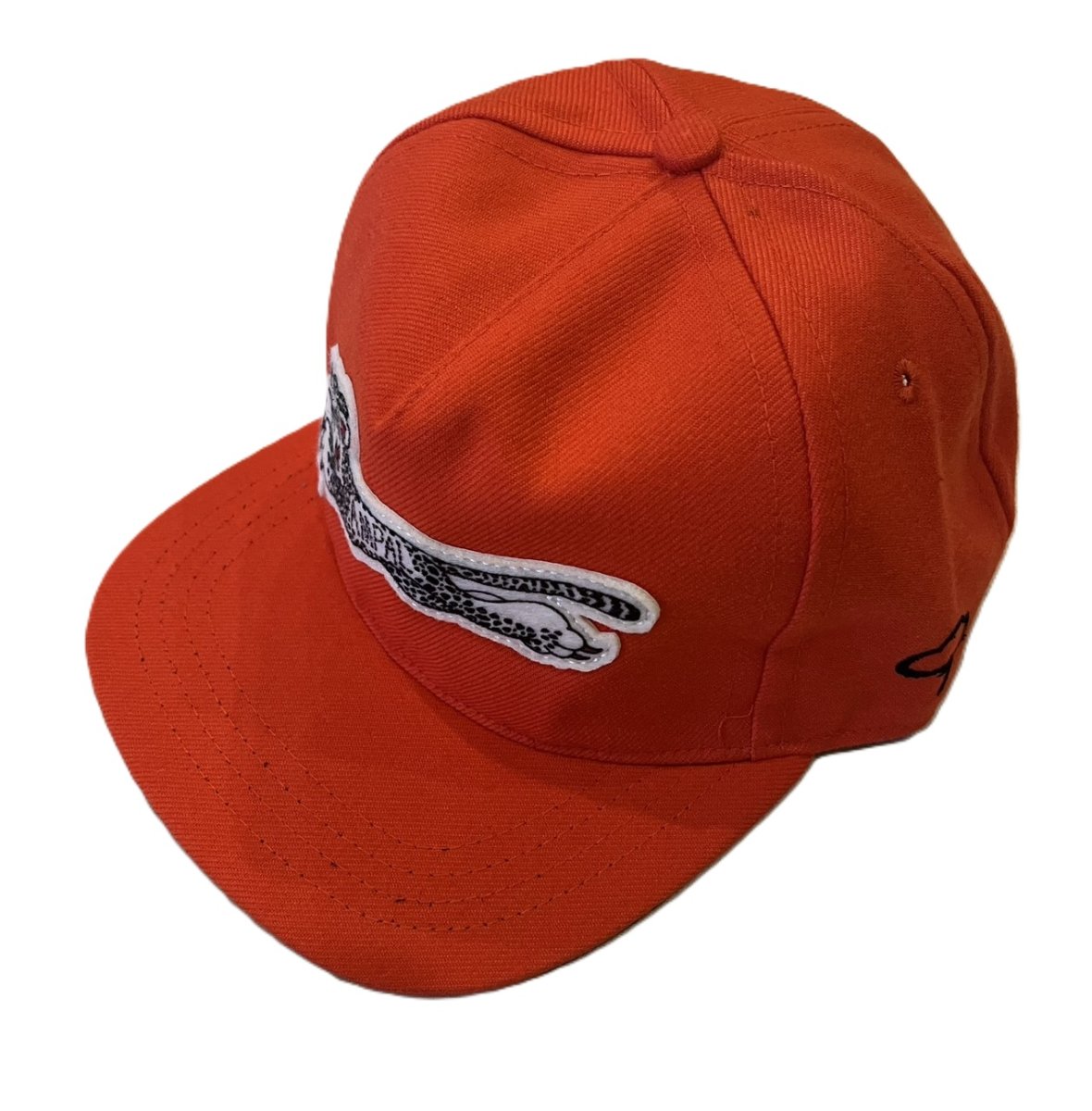 画像1: THE AMPAL CREATIVE (1)