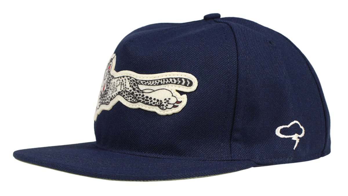 画像1: THE AMPAL CREATIVE (1)