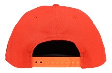 画像3: THE AMPAL CREATIVE (3)