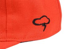 画像6: THE AMPAL CREATIVE (6)